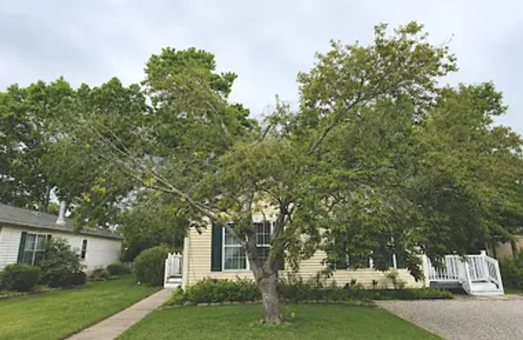 64 HICKORY LN, MAYS LANDING, NJ, 08330, Mays Landing, NJ 08330
