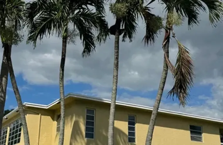 1141 VIOLET TER APT 202, DELRAY BEACH, F..., Delray Beach, FL 33445