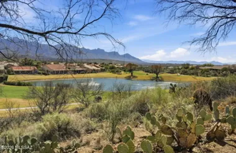 65113 E BRASSIE DR, SADDLEBROOKE, AZ, 85..., Saddlebrooke, AZ 85739