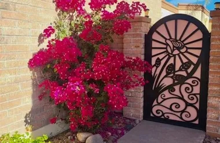 1604 W VUELTA SALVATIERRA, GREEN VALLEY,..., Green Valley, AZ 85622