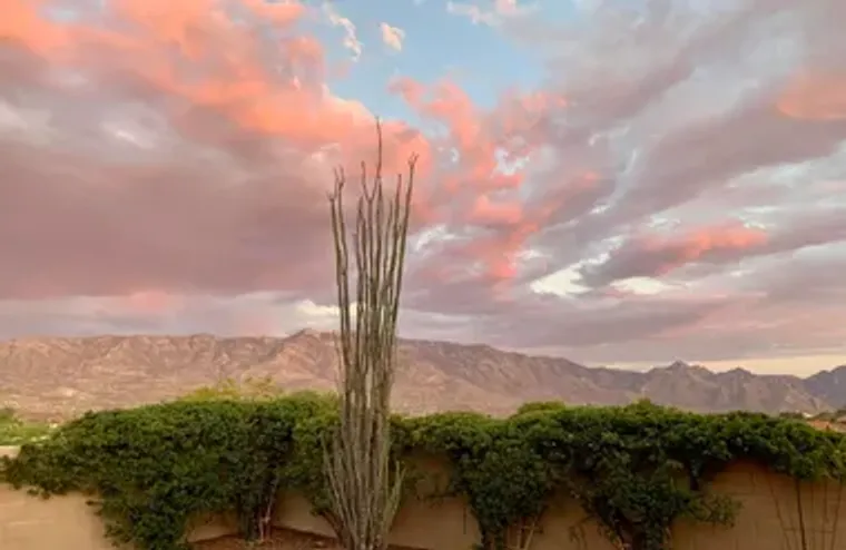 63719 E WHISPERING TREE LN, SADDLEBROOKE..., Saddlebrooke, AZ 85739