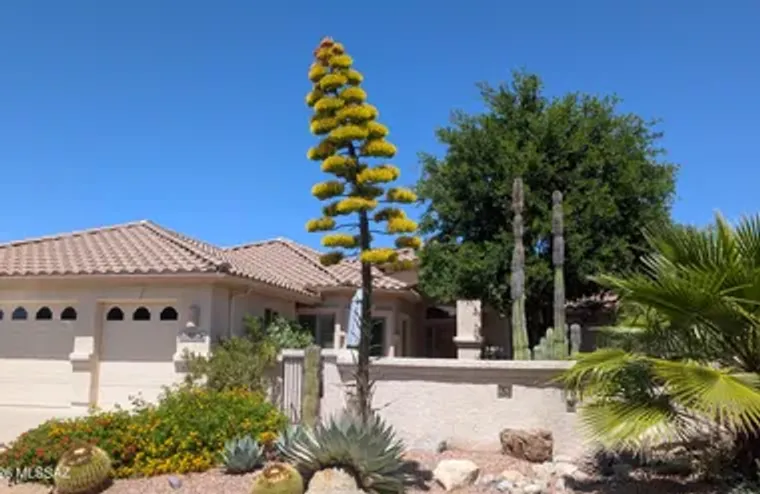 62928 E HARMONY DR, TUCSON, AZ, 85739, Tucson, AZ 85739