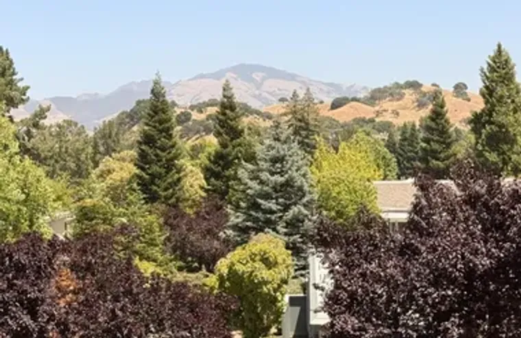 1549 OAKMONT DR 3, WALNUT CREEK, CA, 945..., Walnut Creek, CA 94595