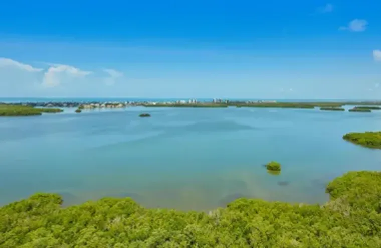 4731 BONITA BAY BLVD 1703, BONITA SPRING..., Bonita Springs, FL 34134