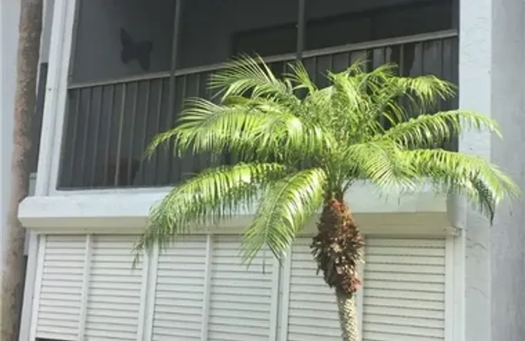 9970 SAILVIEW CT 11, FORT MYERS, FL, 339..., Fort Myers, FL 33905