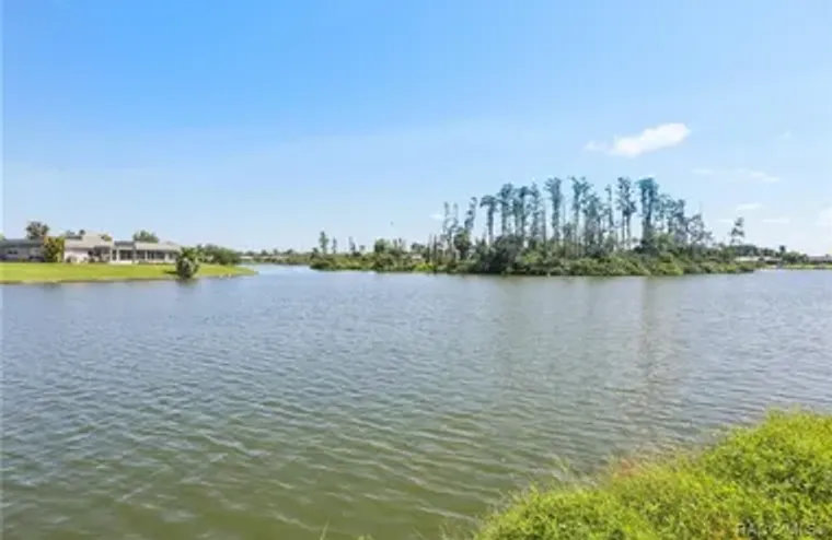 1717 DANBURY DR, SUN CITY CENTER, FL, 33..., Sun City Center, FL 33573