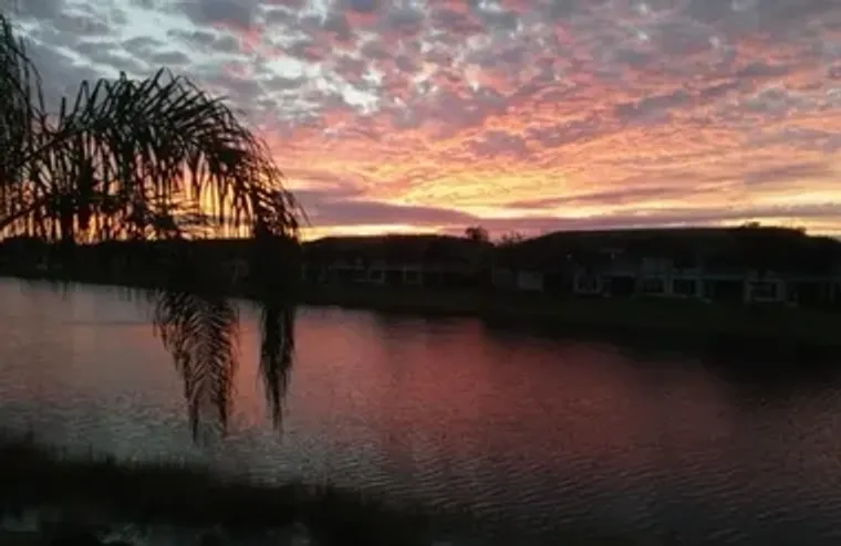 11014 MILL CREEK WAY APT 2308, FORT MYER..., Fort Myers, FL 33913