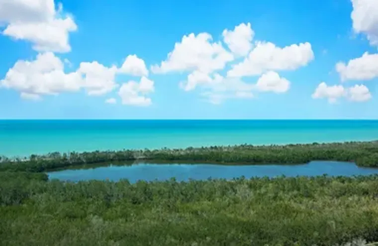 6573 MARISSA LOOP 1805, NAPLES, FL, 3410..., Naples, FL 34108