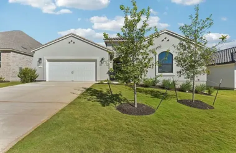 226 OLIVE BLOSSOM TRL, SAN MARCOS, TX, 7..., San Marcos, TX 78666