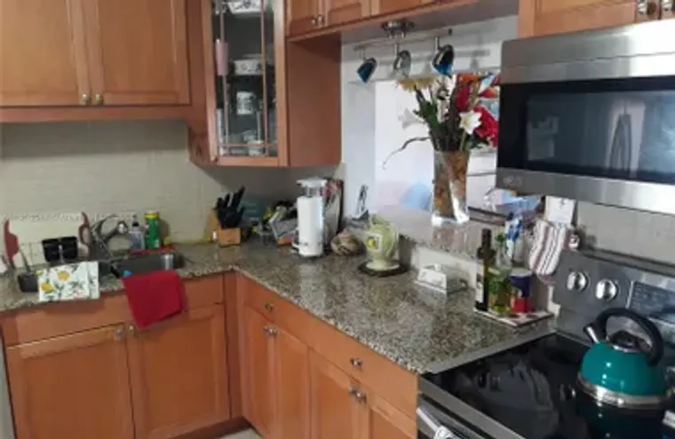 215 SE 3RD AVE 407A, HALLANDALE BEACH, F..., Hallandale Beach, FL 33009