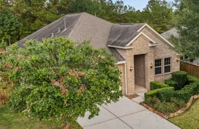 120 CRINIUM LILY CT, MONTGOMERY, TX, 773..., Montgomery, TX 77316