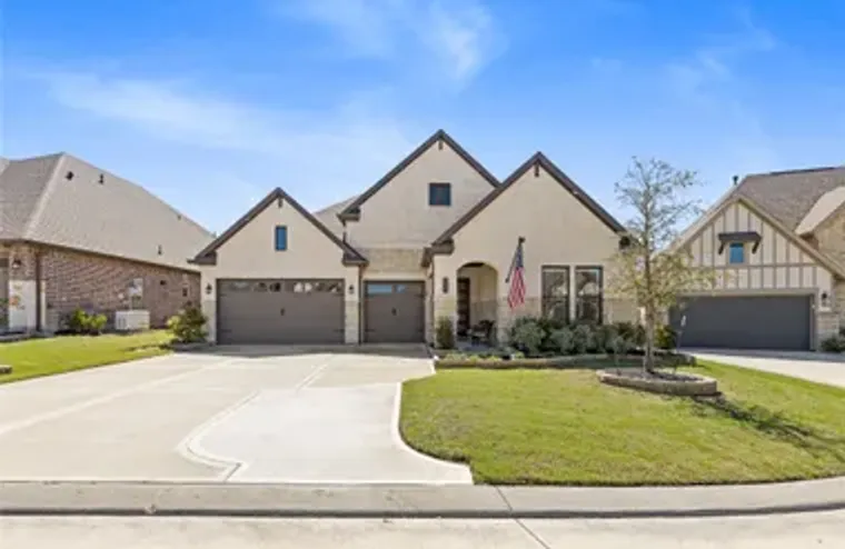 9849 COBALT CV, WILLIS, TX, 77318, Willis, TX 77318