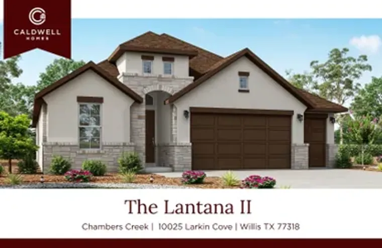 10025 LARKIN CV, WILLIS, TX, 77318, Willis, TX 77318