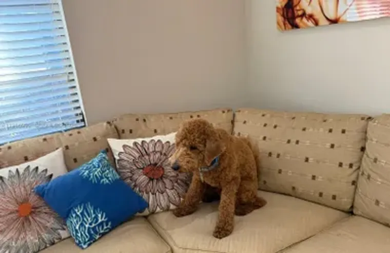 6180 KINGS GATE CIR, DELRAY BEACH, FL, 3..., Delray Beach, FL 33484