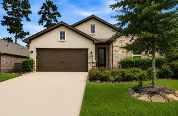 111 E SILKY SEPHORA CT, MONTGOMERY, TX, ..., Montgomery, TX 77316
