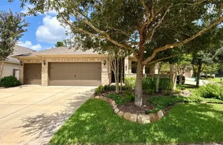 217 SOUTHERN IRIS CT, MONTGOMERY, TX, 77..., Montgomery, TX 77316