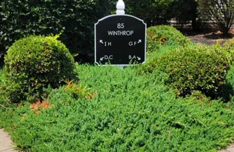 85 WINTHROP RD # 85F, MONROE, NJ, 08831, Monroe, NJ 08831