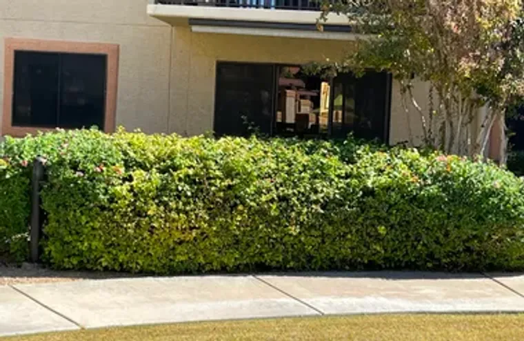 10330 W THUNDERBIRD BLVD C102, SUN CITY,..., Sun City, AZ 85351