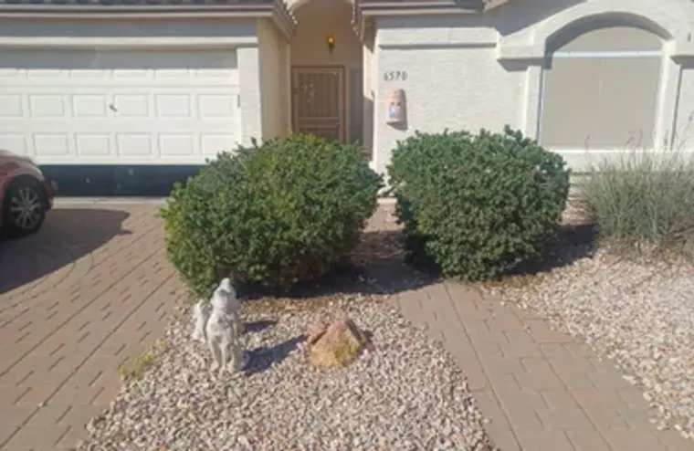 6570 S CORAL GABLE DR, CHANDLER, AZ, 852..., Chandler, AZ 85249