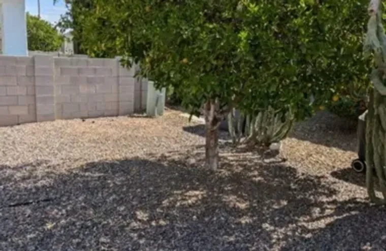 2511 N 56TH ST, MESA, AZ, 85215, Mesa, AZ 85215