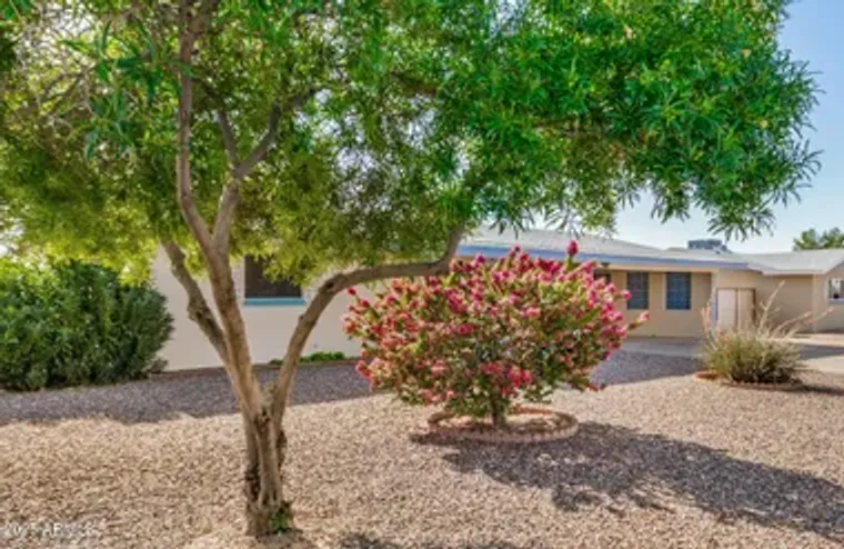 6449 E ADOBE RD, MESA, AZ, 85205, Mesa, AZ 85205