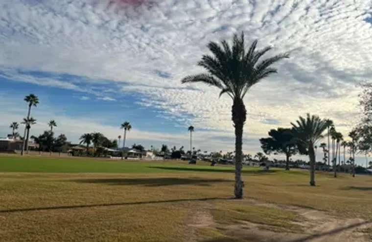 2307 N LEMA DR, MESA, AZ, 85215, Mesa, AZ 85215