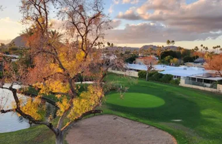 7860 E CAMELBACK RD 404, SCOTTSDALE, AZ,..., Scottsdale, AZ 85251