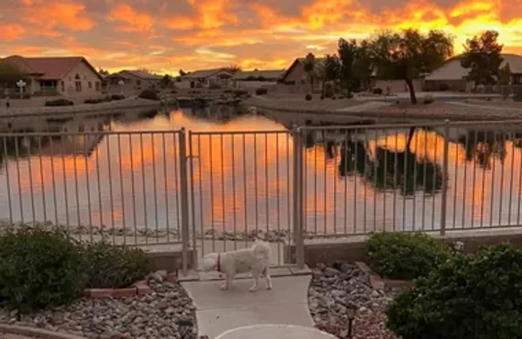 20659 N 110TH AVE, PEORIA, AZ, 85373, Peoria, AZ 85373