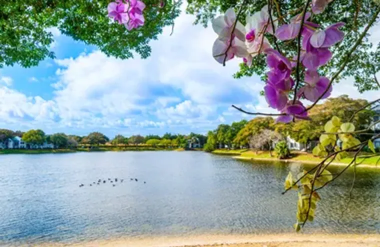 5380 CEDAR LAKE DR 102, BOYNTON BEACH, F..., Boynton Beach, FL 33437