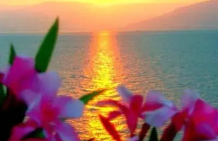 6149 POINTE REGAL CIR 104, DELRAY BEACH,..., Delray Beach, FL 33484