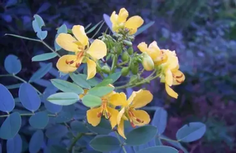 6400 THREE LAKES LN, BOYNTON BEACH, FL, ..., Boynton Beach, FL 33437