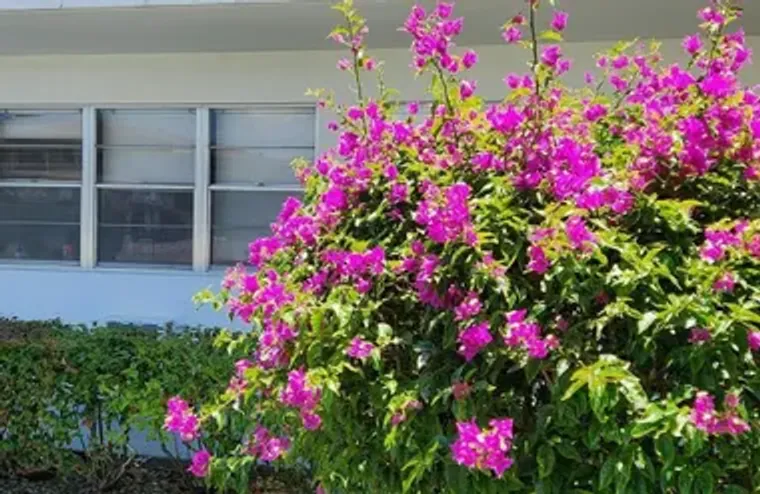 102 ANDOVER 102, WEST PALM BEACH, FL, 33..., West Palm Beach, FL 33417