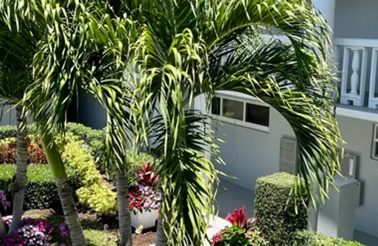 32 COLONIAL CLUB DR 203, BOYNTON BEACH, ..., Boynton Beach, FL 33435