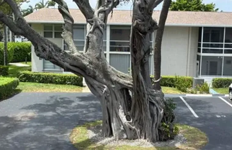 620 HORIZON W 202, BOYNTON BEACH, FL, 33..., Boynton Beach, FL 33435