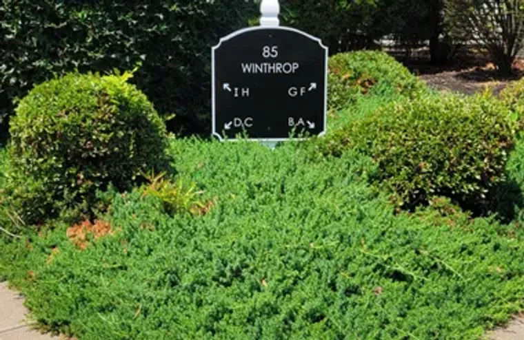 85F WINTHROP RD # 85-F, MONROE, NJ, 0883..., Monroe, NJ 08831