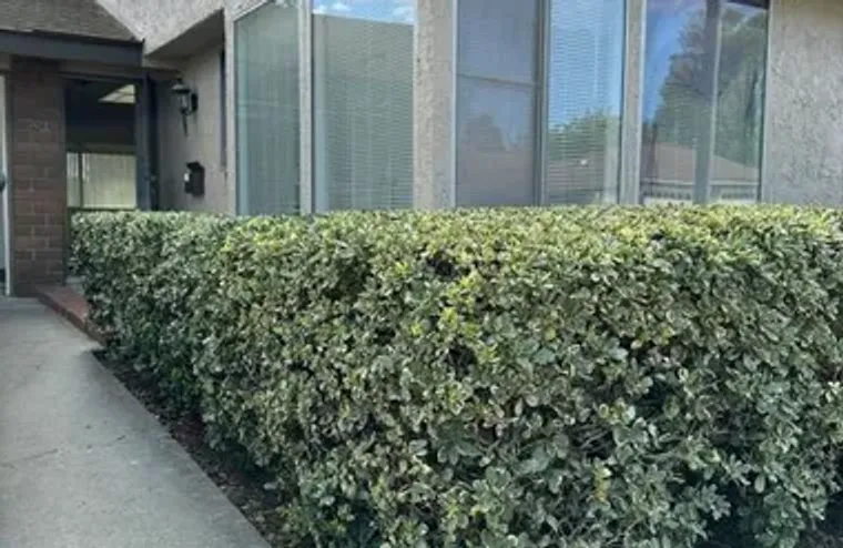 7202 VILLAGE 7, CAMARILLO, CA, 93012, Camarillo, CA 93012