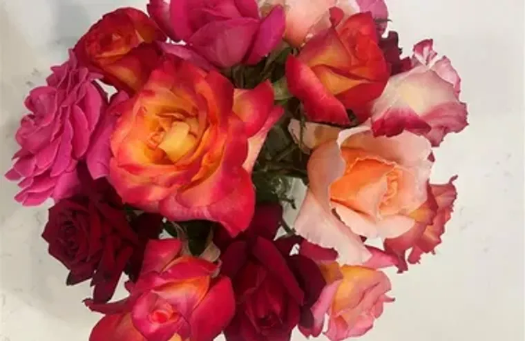 40083 CORTE LORCA, MURRIETA, CA, 92562, Murrieta, CA 92562