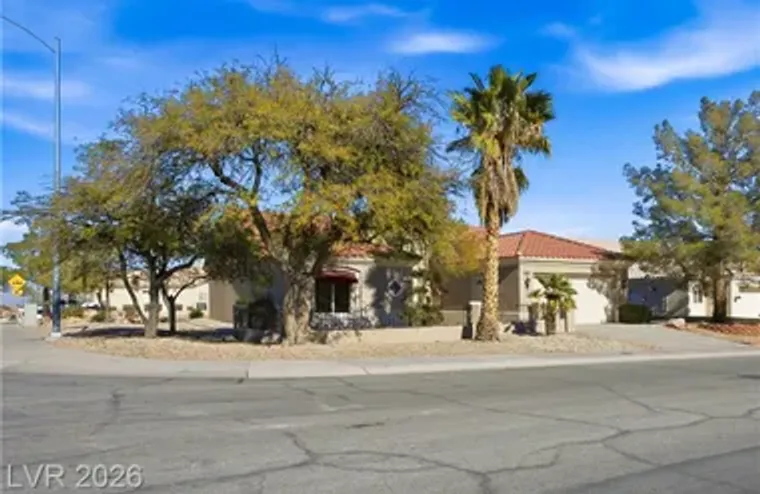 10008 BUTTON WILLOW DR, LAS VEGAS, NV, 8..., Las Vegas, NV 89134