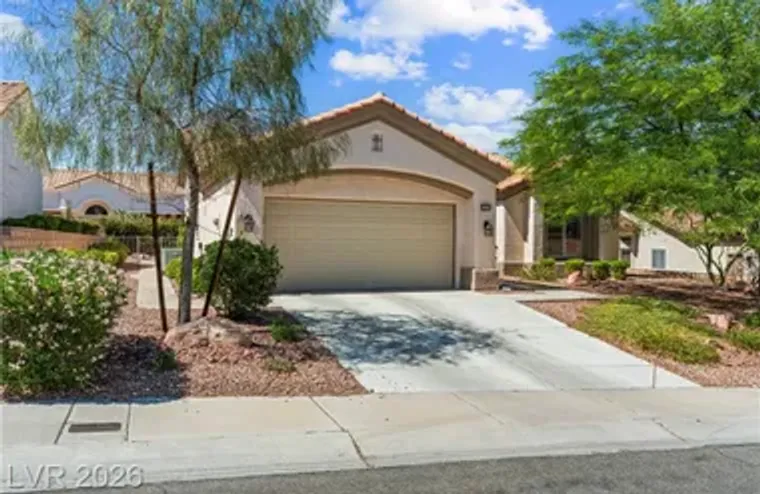 9920 NETHERTON DR, LAS VEGAS, NV, 89134, Las Vegas, NV 89134