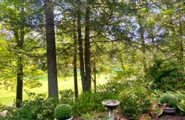 123 HERITAGE VLG B, SOUTHBURY, CT, 06488, Southbury, CT 06488