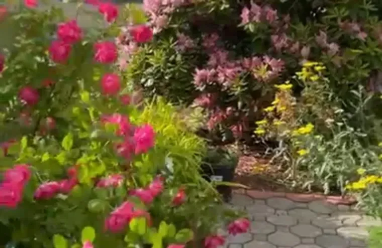 162 THISTLE POND DR # 162, BLOOMFIELD, C..., Bloomfield, CT 06002