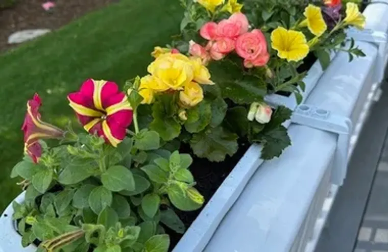 11 NORTH CT # 11, COLCHESTER, CT, 06415, Colchester, CT 06415