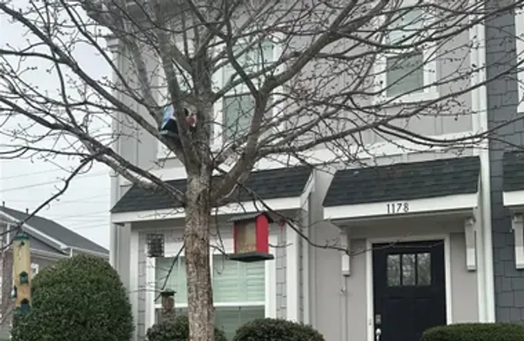 1178 ALMERTON DR, DENVER, NC, 28037, Denver, NC 28037