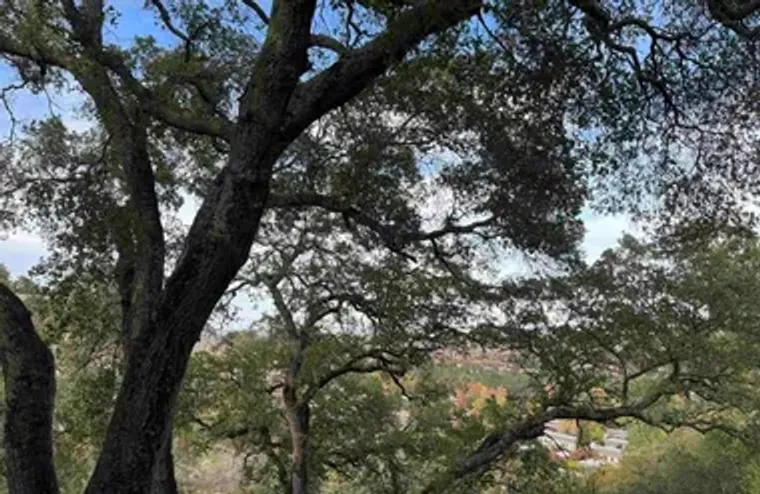 3120 PTARMIGAN DR 3, WALNUT CREEK, CA, 9..., Walnut Creek, CA 94595