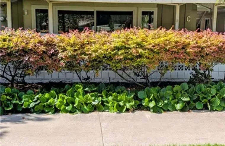 118 VIA ESTRADA C C, LAGUNA WOODS, CA, 9..., Laguna Woods, CA 92637