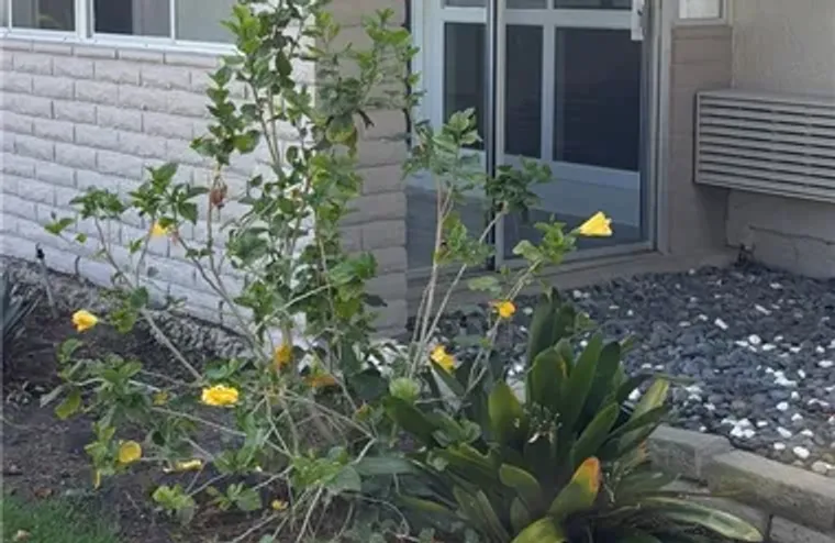 2277 VIA MARIPOSA B, LAGUNA WOODS, CA, 9..., Laguna Woods, CA 92637