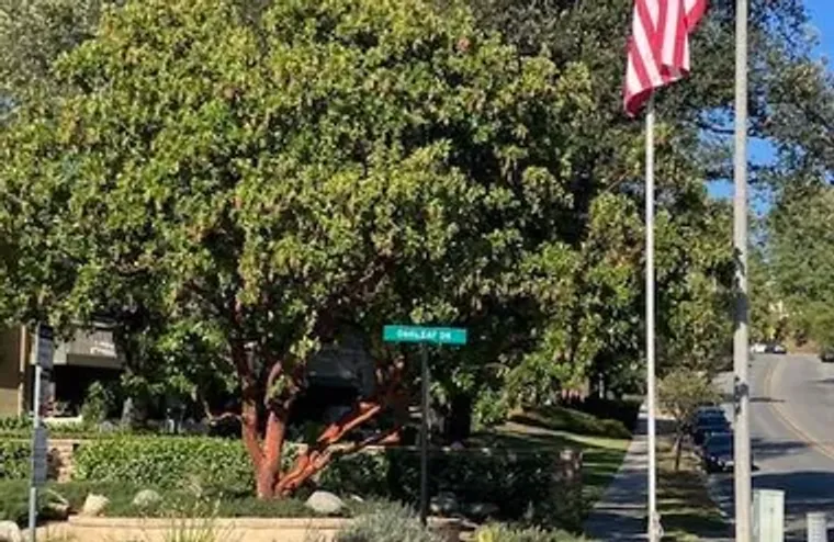 254 SEQUOIA CT 37, THOUSAND OAKS, CA, 91..., Thousand Oaks, CA 91360