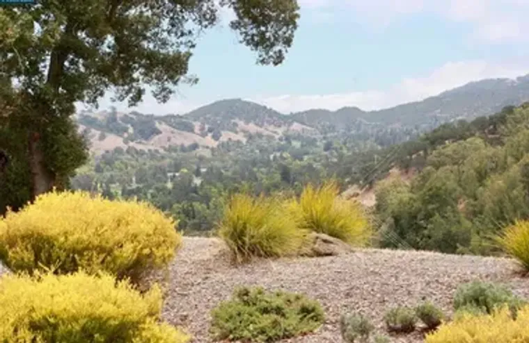 2100 SKYCREST DR 10, WALNUT CREEK, CA, 9..., Walnut Creek, CA 94595