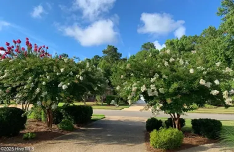 2170 TALMAGE DR, LELAND, NC, 28451, Leland, NC 28451