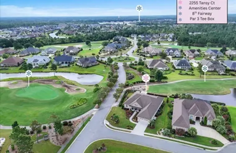 2255 TANSY CT, LELAND, NC, 28451, Leland, NC 28451